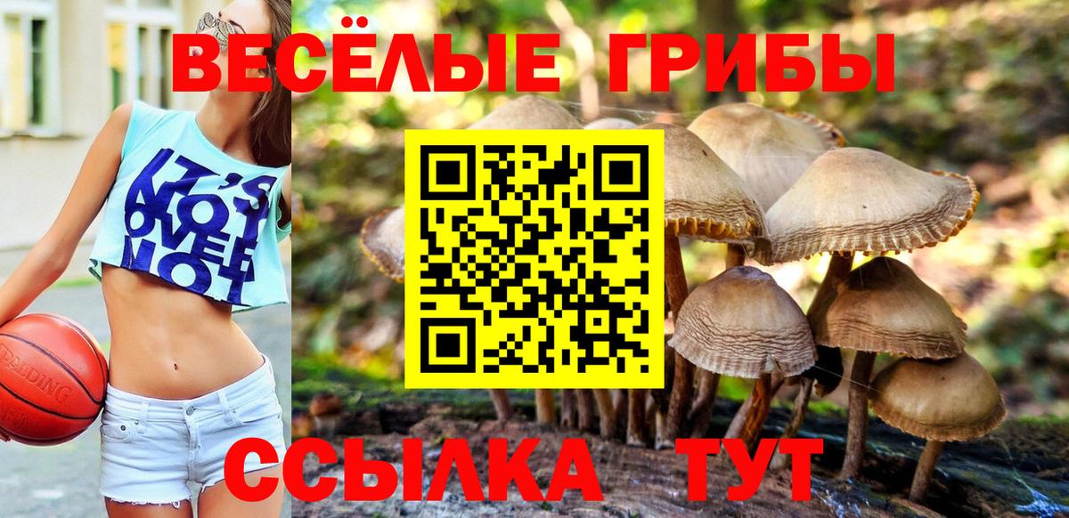 хочу   Псилоцибиновые грибы Psilocybe  Псилоцибиновые грибы MAGIC MUSHROOMS  Вход с VPN  Ивантеевка 